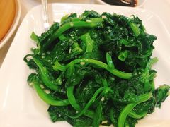 清炒豆苗-沪江海派料理