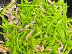 -66梧桐院·天平邻里汇(乌鲁木齐南路店)
