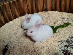 -正佳雨林生态植物园