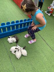 -萌宠亲子动物乐园(槐房万达店)