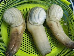 -板桥海鲜广场(文明东店)