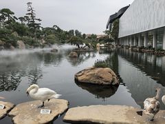 -罗红摄影艺术馆