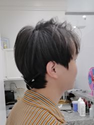 -YESIDO椰岛造型