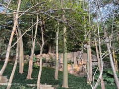 -乌山风景区