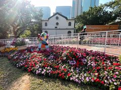-九龙公园