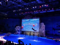 -华夏文旅海洋公园