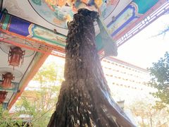 -大明幻境第一城