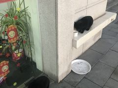 -新世界教育iVEE·英语日语西语(金桥校区)