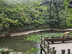 -句容茅山景区