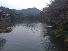 -西湖外事游船(花港观鱼码头)