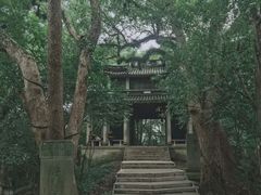 -溪口-滕头旅游景区