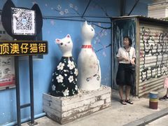 -猫咪博物馆(顶澳仔猫街店)