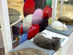 -天河领展广场