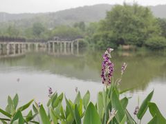 -石塘人家