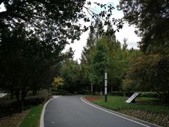 -苏州河梦清园环保主题公园