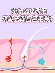 点击看大图 -咪咪比基尼脱毛专业店