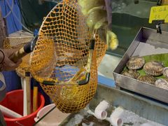 -辉记炭烧海鲜大排档·老字号(福田店)