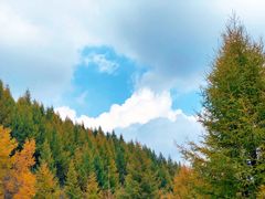 -苏木山森林公园