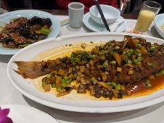 -新侨小馆(东直门北小街店)
