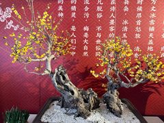 -颐和园