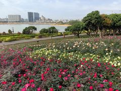 -立新湖公园