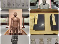 -北京中医药大学-中医药博物馆