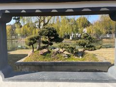-扬州大运河文化旅游度假区·盆景园