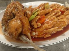 -金龙寨(龙城路店)