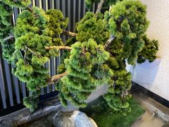 -上足·影院足道·SPA(红岭店)