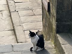 -恩阳古镇