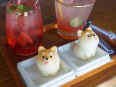 -柴犬高等学院·狗咖·柴犬售卖·宠物训练