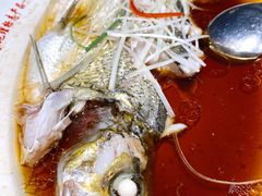 -丹江渔村(望京店)