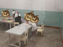 -学知乐教育·幼小衔接·小学科辅导(浦东外高桥森兰中心)
