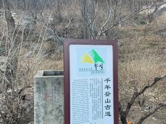 -北京鹫峰国家森林公园