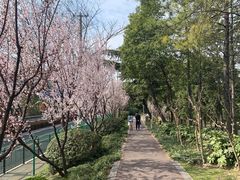 -美兰湖景区