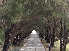 -洛阳古墓博物馆