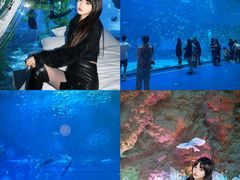 -南昌融创海世界