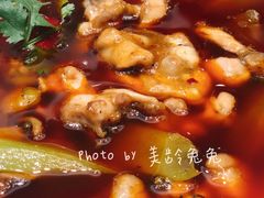 馋嘴蛙-骏莱海鲜鱼港(五角场店)