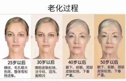 -Fundi张玉珊修身堂·indiba·BTL科技瘦身