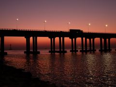 -宝安西湾红树林湿地公园