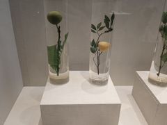 -广东中医药博物馆