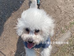 -漩门湾国家湿地公园