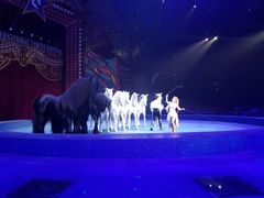 -珠海横琴长隆《卡卡虎奇遇记》