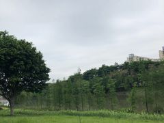 -怡海公园(桂城街道)