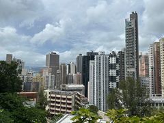 -香港大学