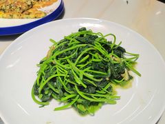 -港升鱼师傅·中山脆肉鲩