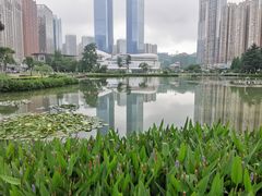 -花果园湿地公园