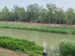 -东郊湿地公园
