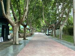 -西安电影制片厂