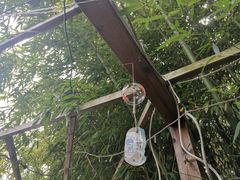 -千叶创意融合料理(水韵城店)